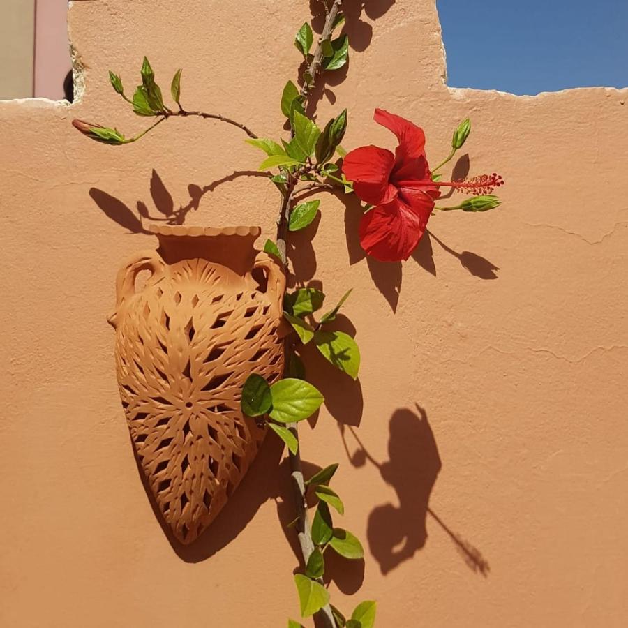 تارودانت‎ Chambres D'Hotes Les Amis المظهر الخارجي الصورة